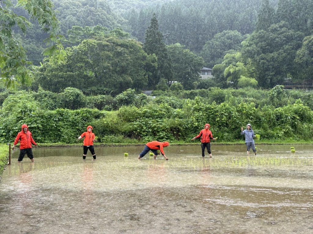 R6年度 東郷水田 田植え実施