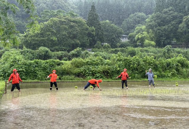 R6年度 東郷水田 田植え実施