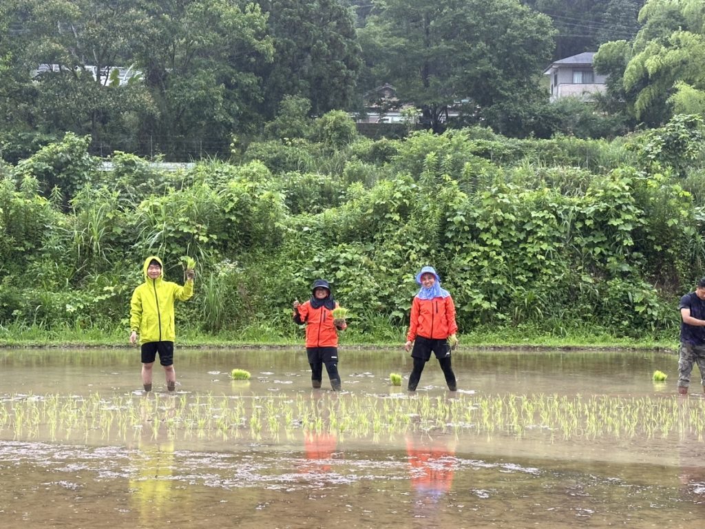 R6年度 東郷水田 田植え実施