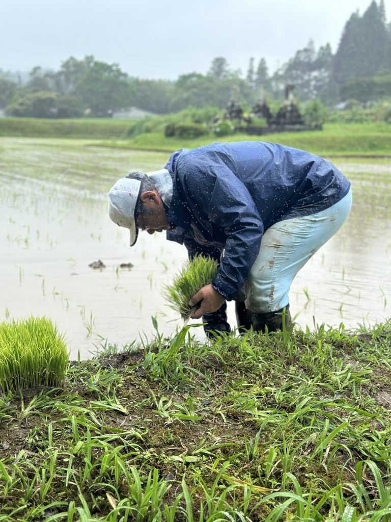 R6年度 東郷水田 田植え実施