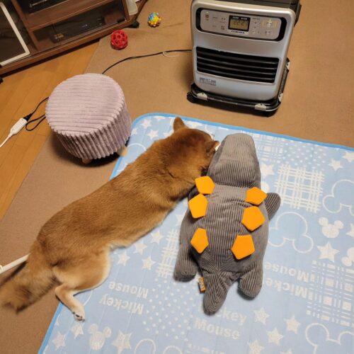 今年の冬は寒すぎる。