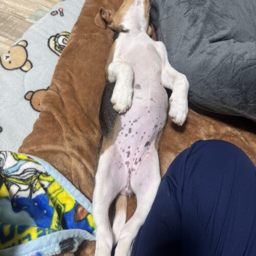 我が家の癒し。。。