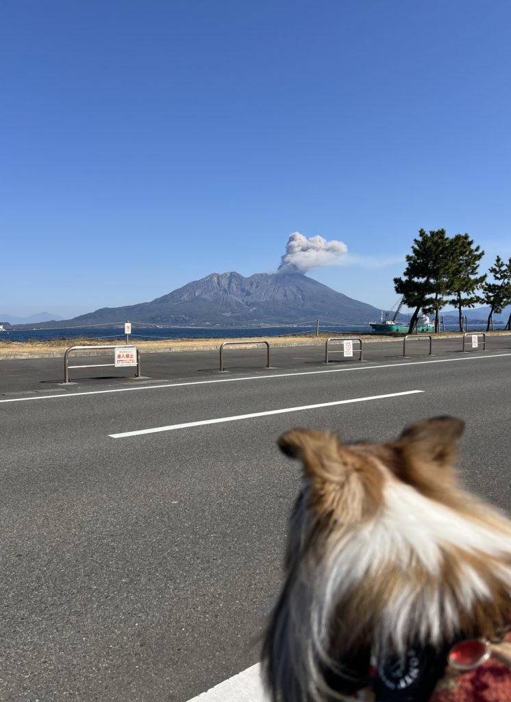 春の陽気に誘われ、ぶらり鹿児島まで・・・・・