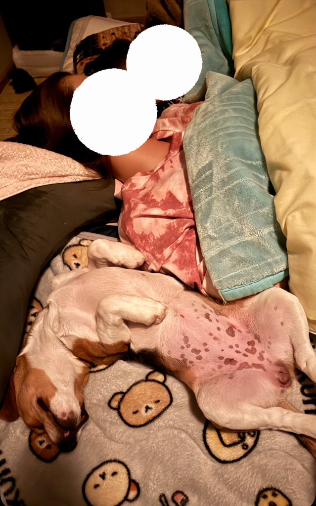 我が家の癒し。。。