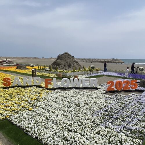 サンドフラワーフェスタ2025🌷