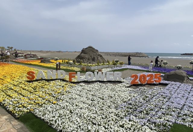 サンドフラワーフェスタ2025🌷