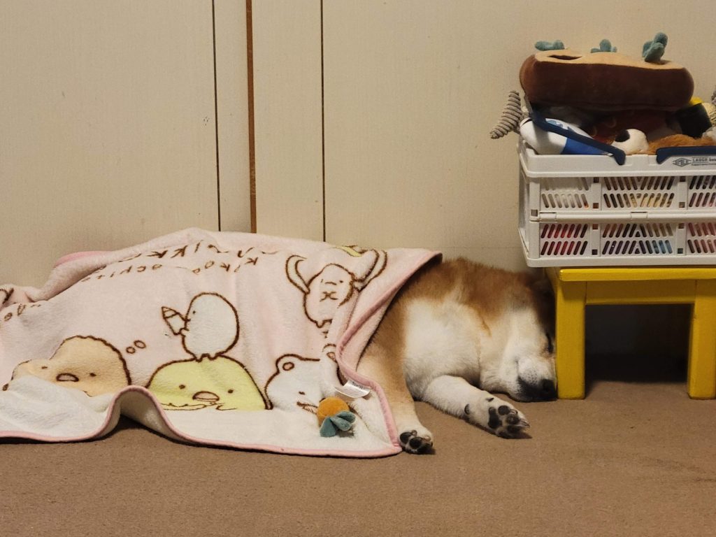 ちょっと遠出のおさんぽ