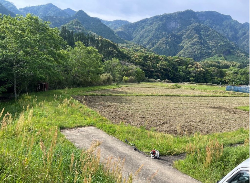 令和7年度 東郷水田始動