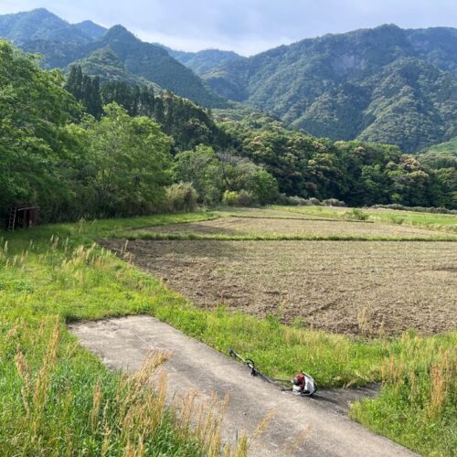 令和7年度 東郷水田始動