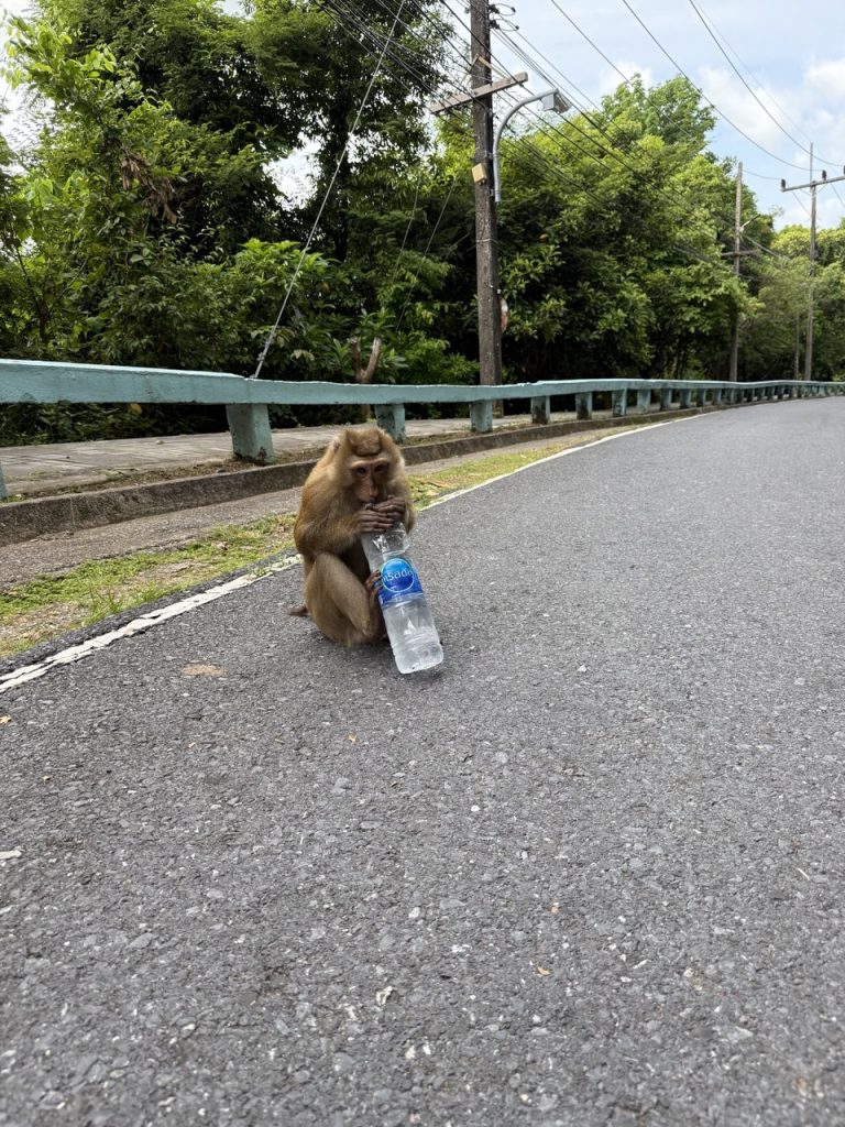 プーケットの旅行