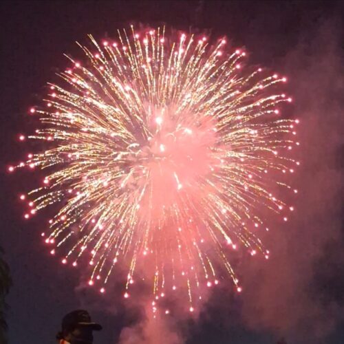 夜空に咲いた大輪の花
