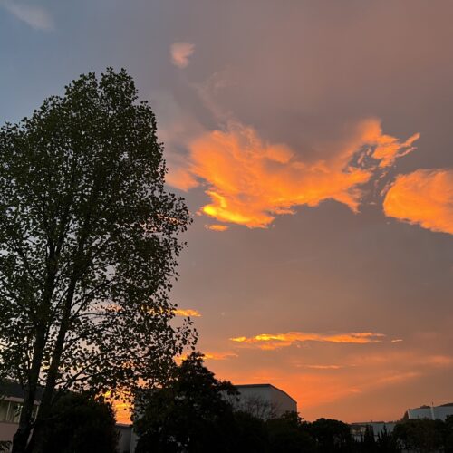 深まりゆく秋、そして冬