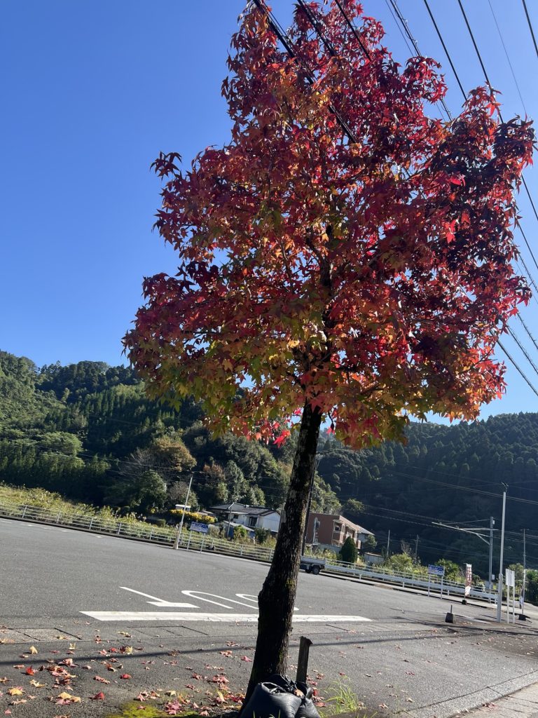 深まりゆく秋、そして冬