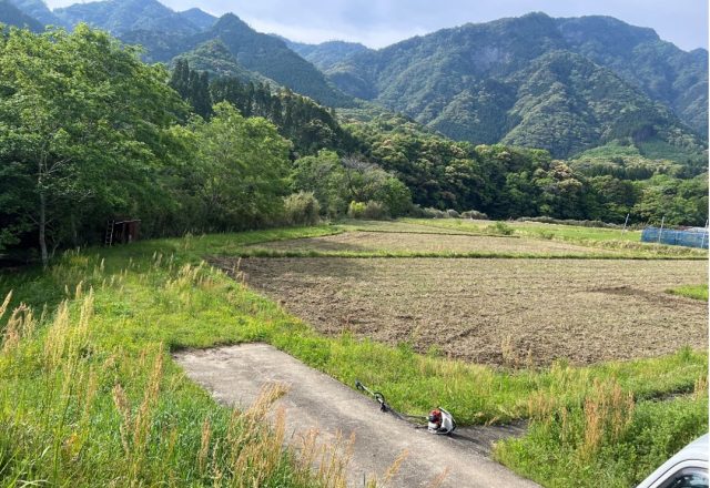 東郷水田!収穫! 旭米!!