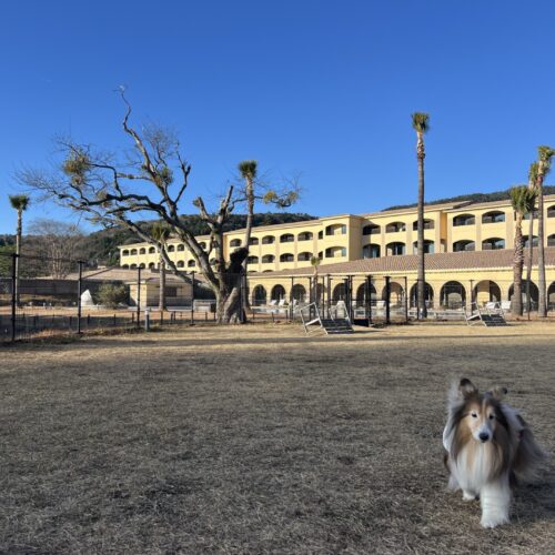 極寒の日の温泉は最高ですね！