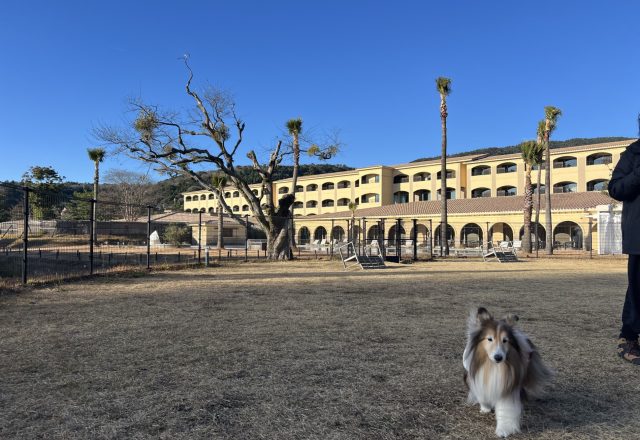 極寒の日の温泉は最高ですね!
