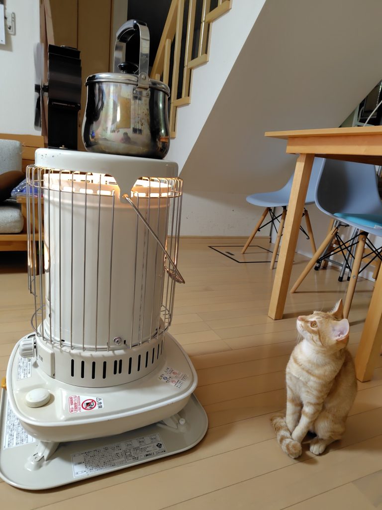 初めての冬