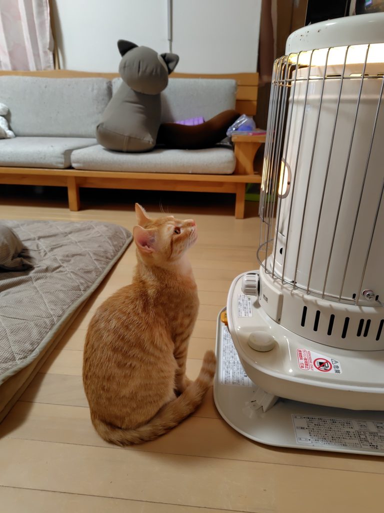 初めての冬