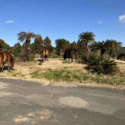 宮崎をどうぞ✨《後編》
