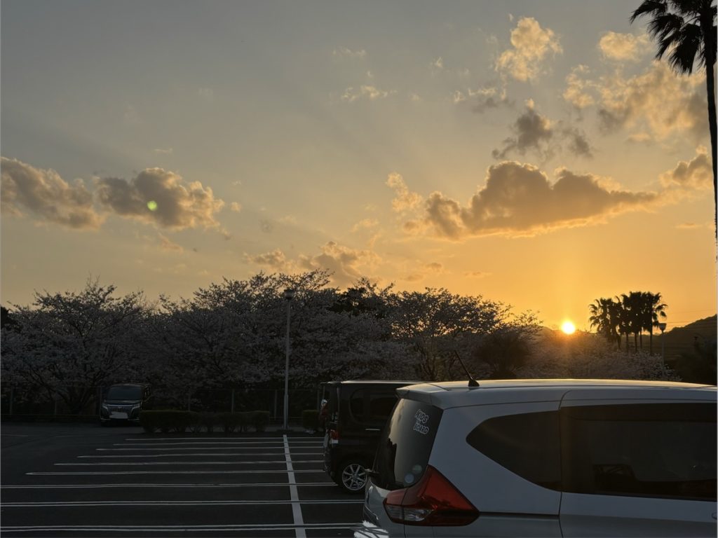 桜の季節