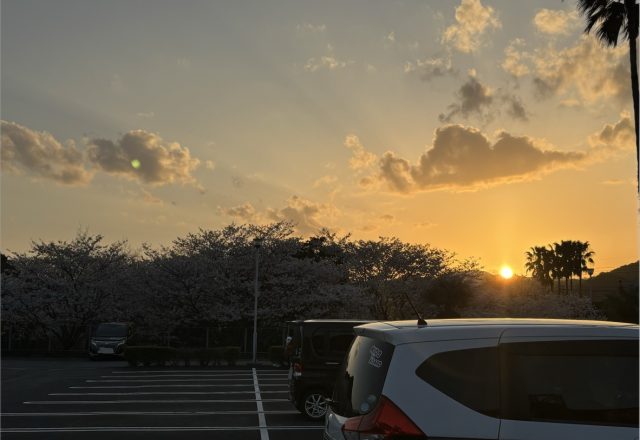 桜の季節
