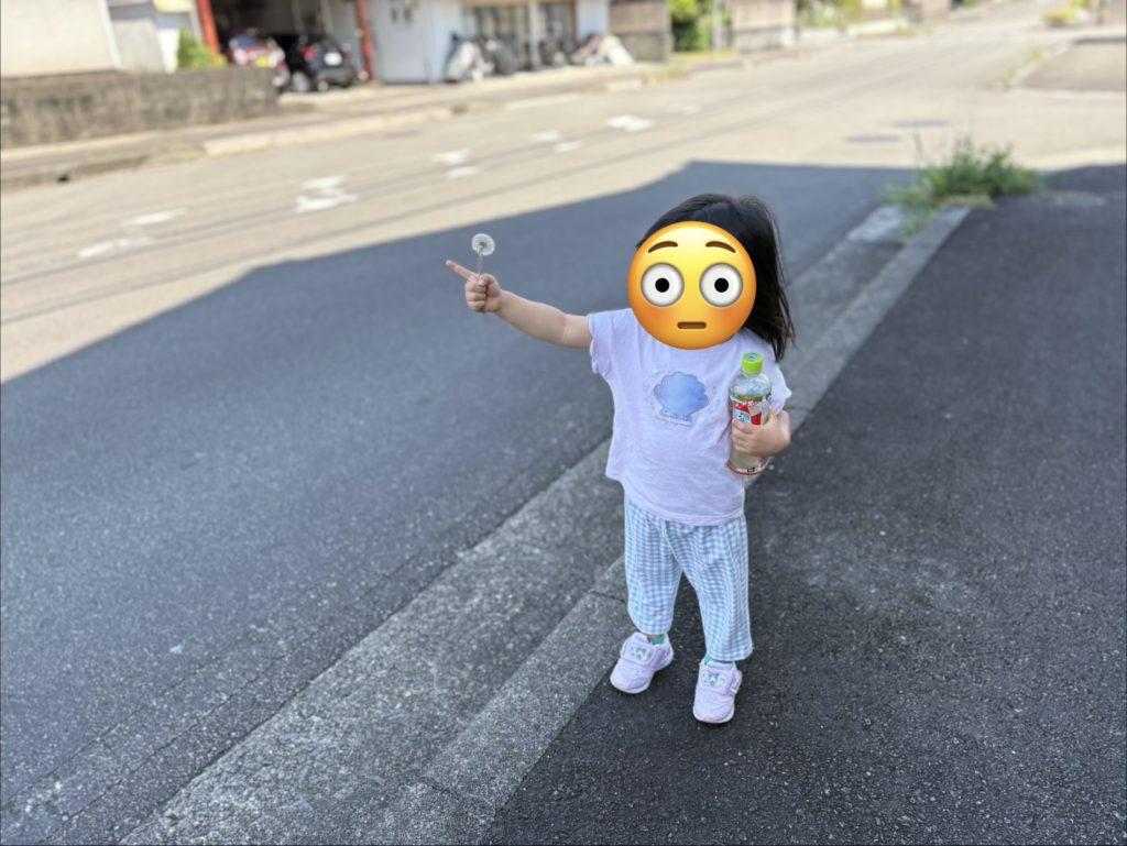 田舎の散歩道