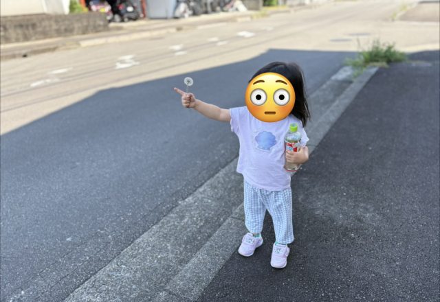 田舎の散歩道
