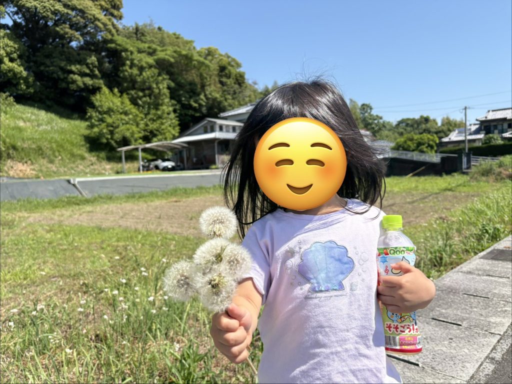 田舎の散歩道