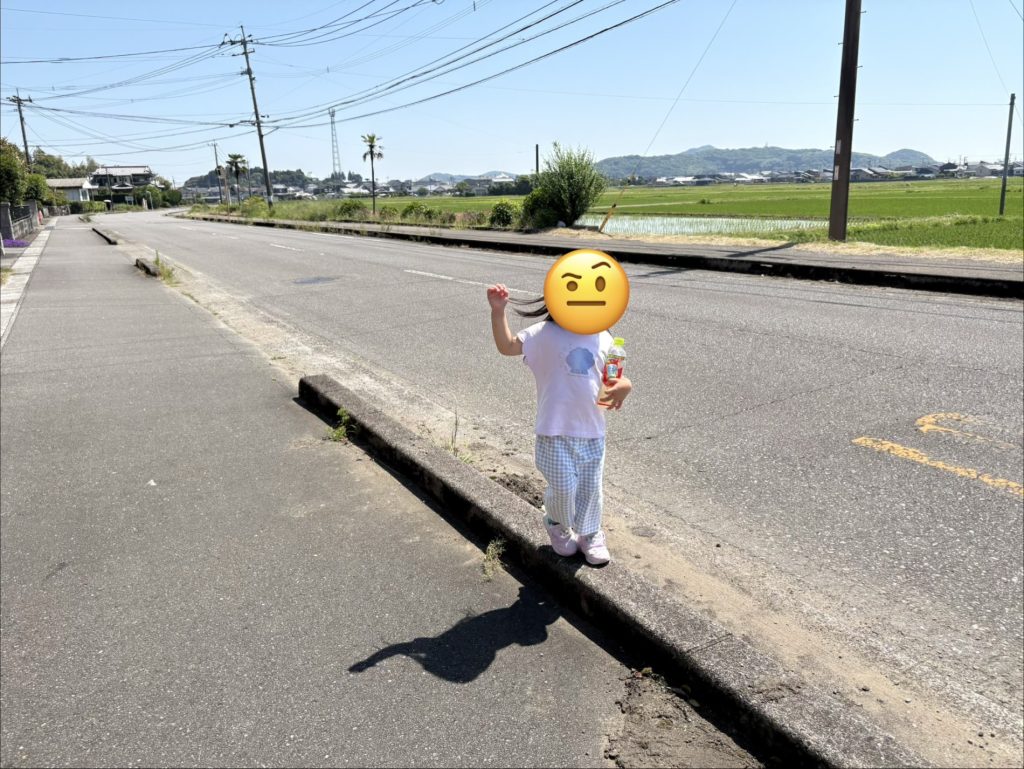 田舎の散歩道