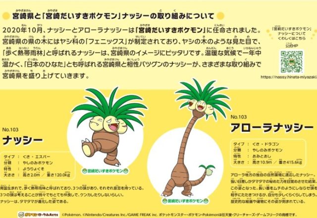 青島太平洋マラソンエントリーしました