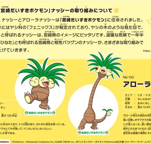 青島太平洋マラソンエントリーしました