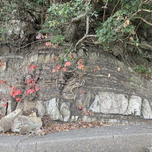 八代の思い出