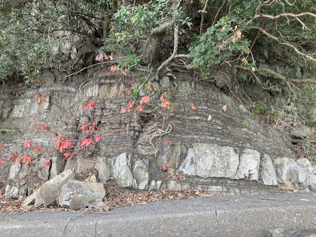 八代の思い出