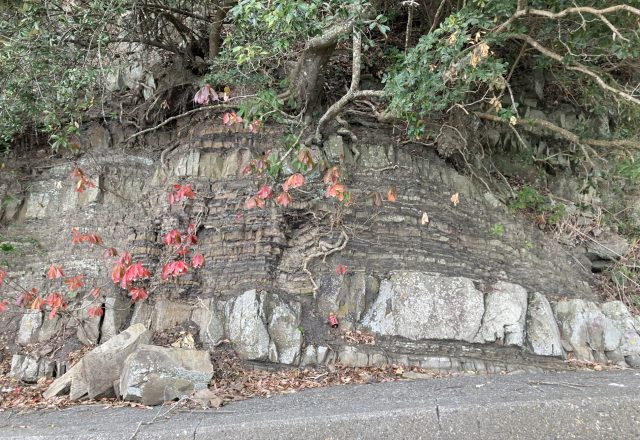 八代の思い出