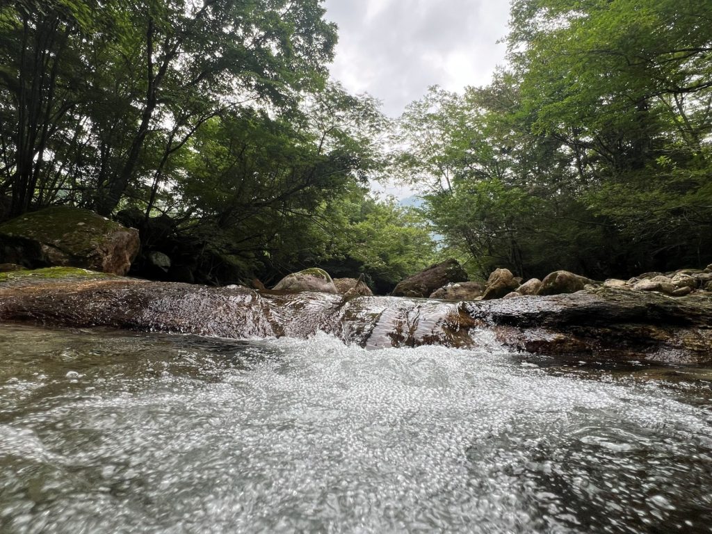夏休み