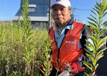 伸びた草を刈り取る社員