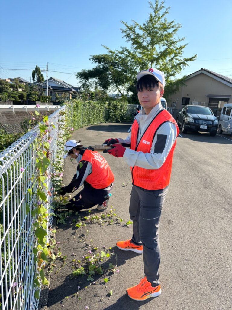 フェンスに伸びたつる草を取り除く社員